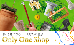 only one shop